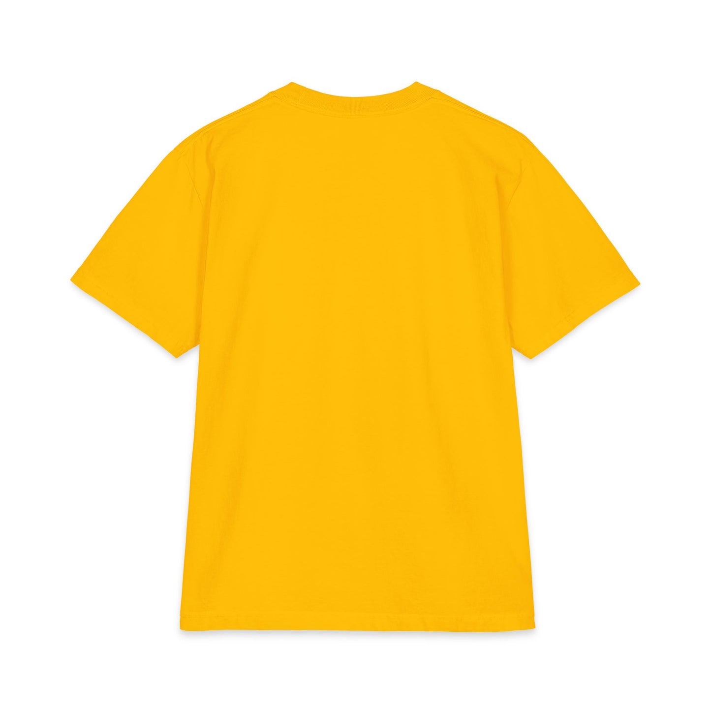 2026 Chix T-Shirt — dark logo on right arm and front