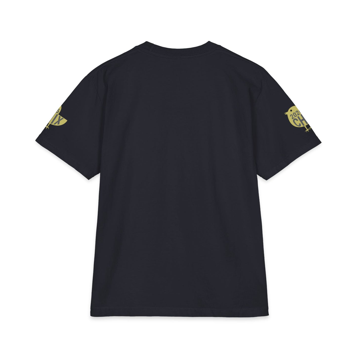 2026 Chix T-Shirt — light logo on left arm and front