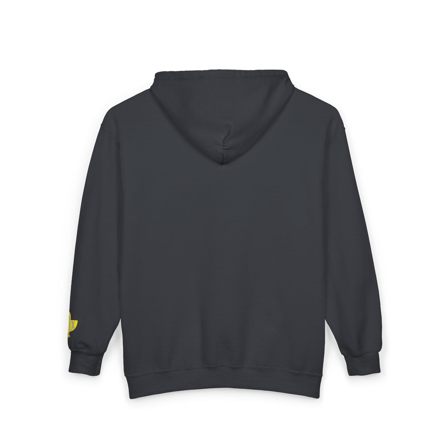 Chix 2026 Full-Zip Hoodie — embroidered light logos on chest and wrist