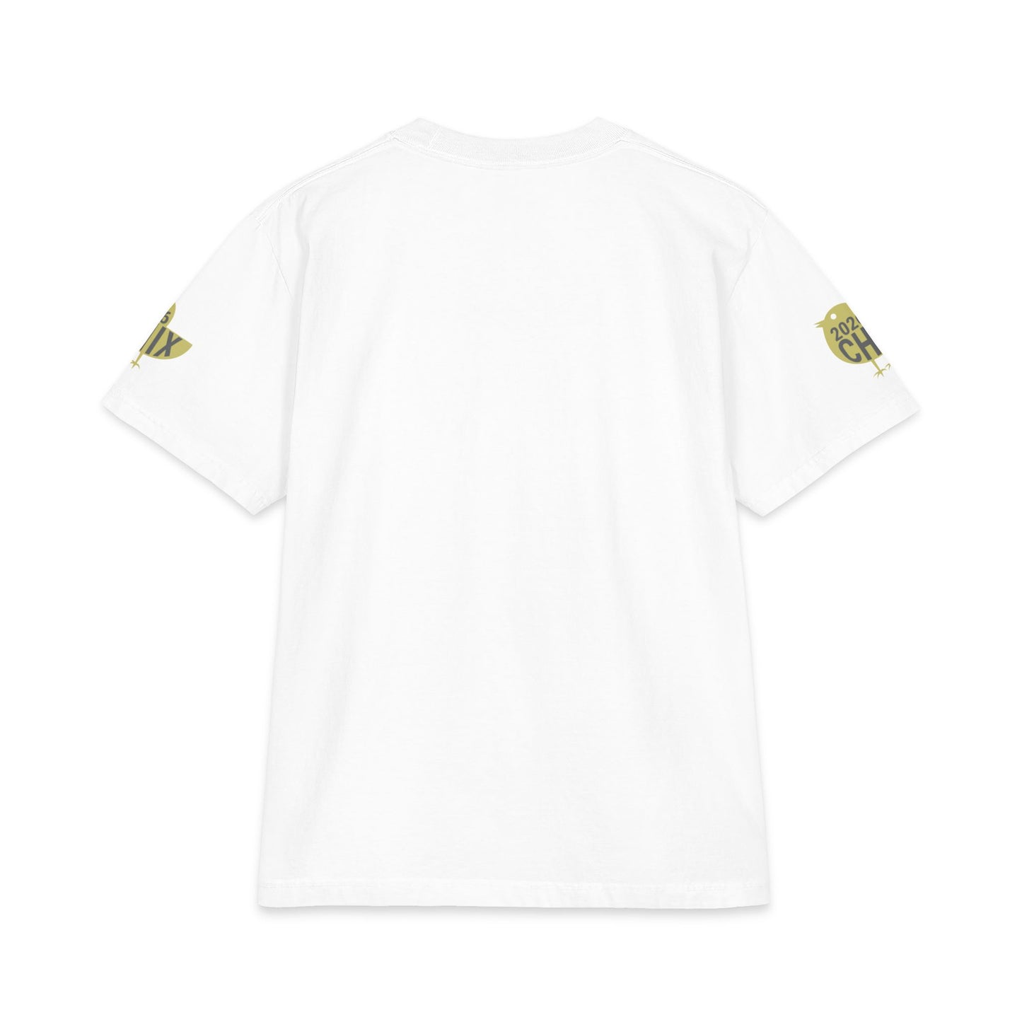 2026 Chix T-Shirt — light logo on left arm and front