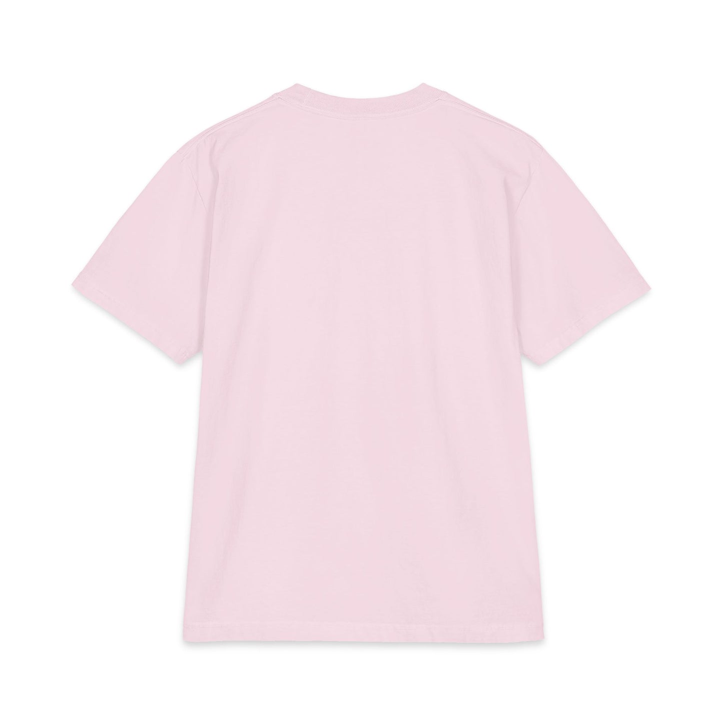 2026 Chix T-Shirt — dark logo on right arm and front