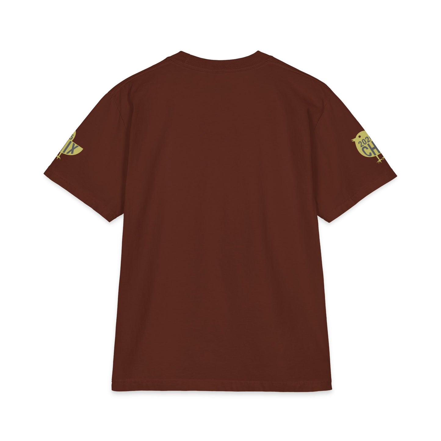 2026 Chix T-Shirt — light logo on left arm and front