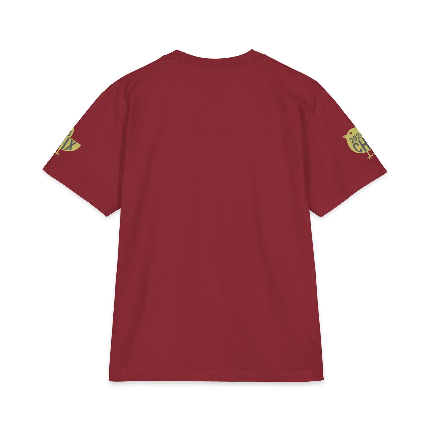 2026 Chix T-Shirt — light logo on left arm and front