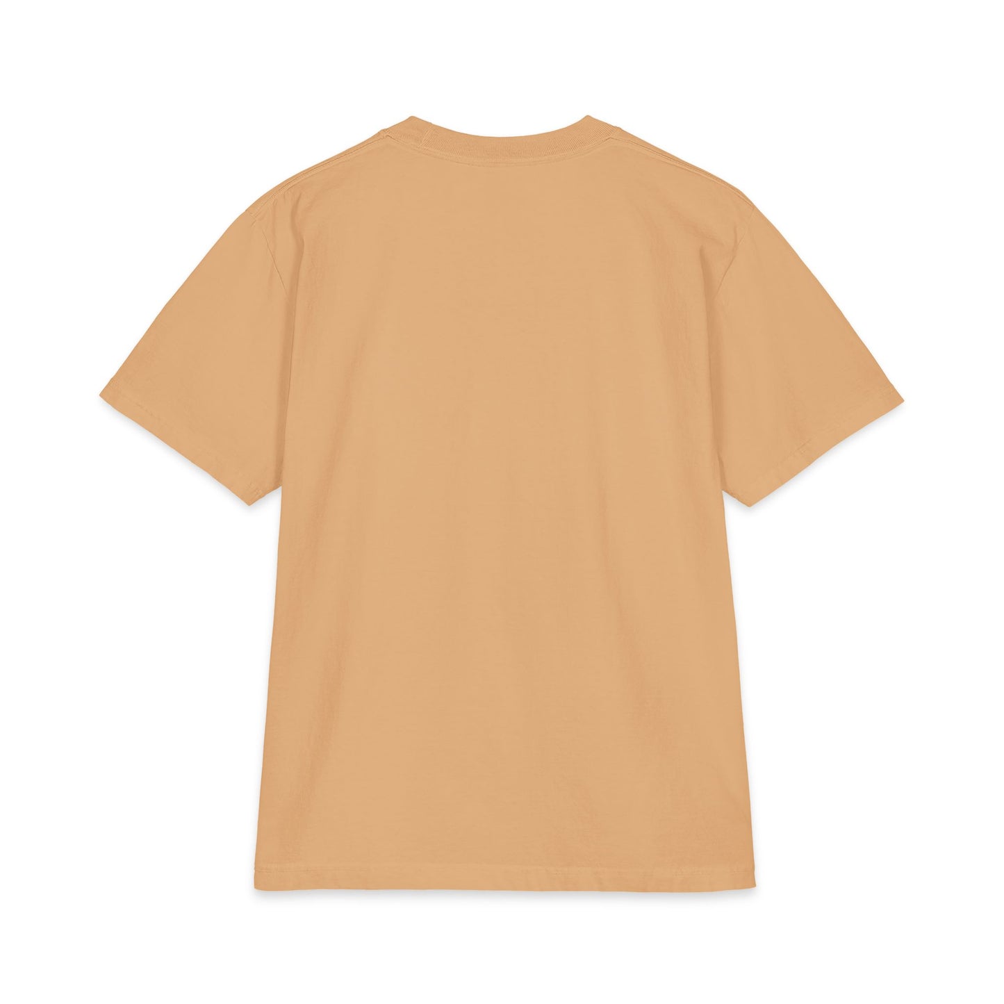 2026 Chix T-Shirt — dark logo on right arm and front