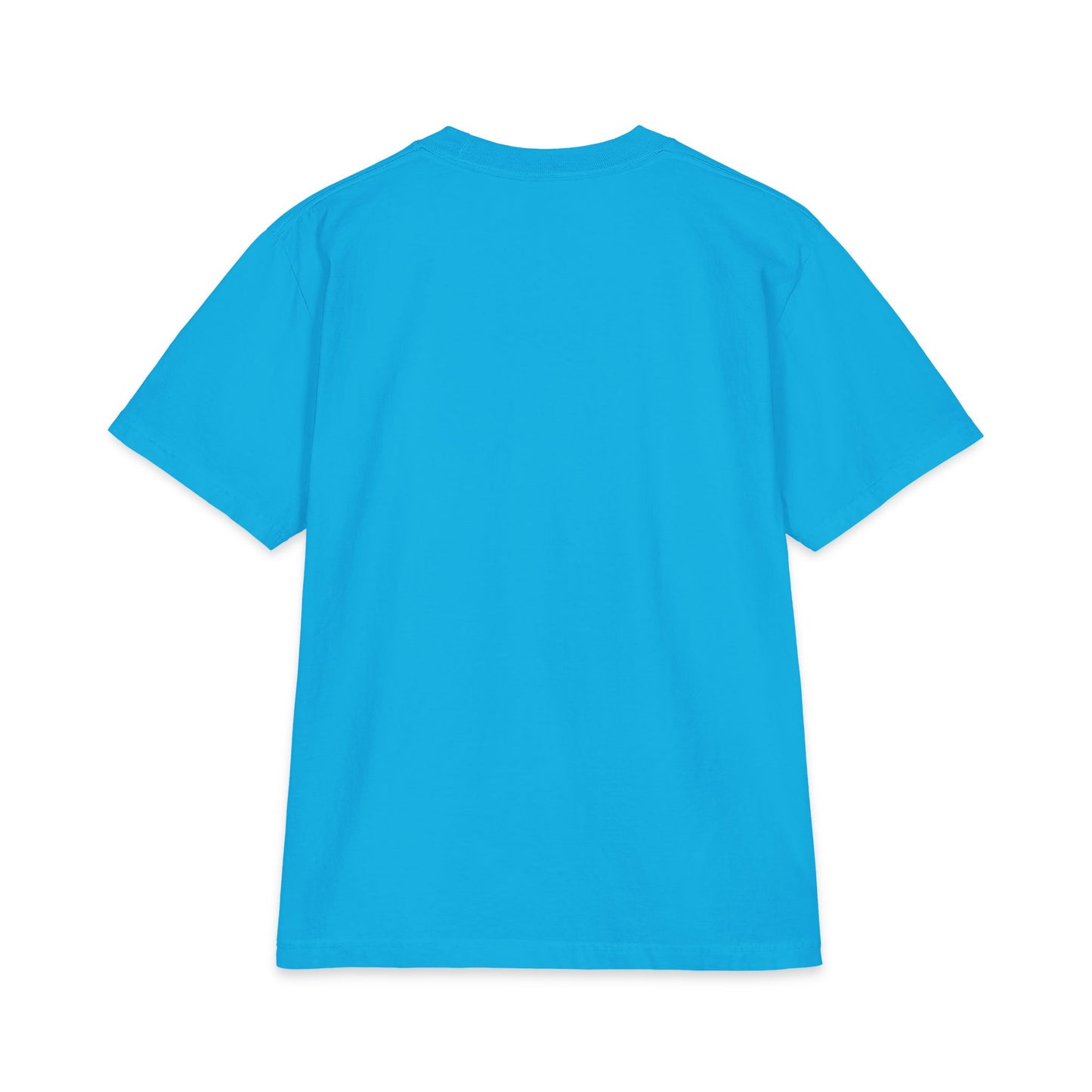 2026 Chix T-Shirt — dark logo on right arm and front