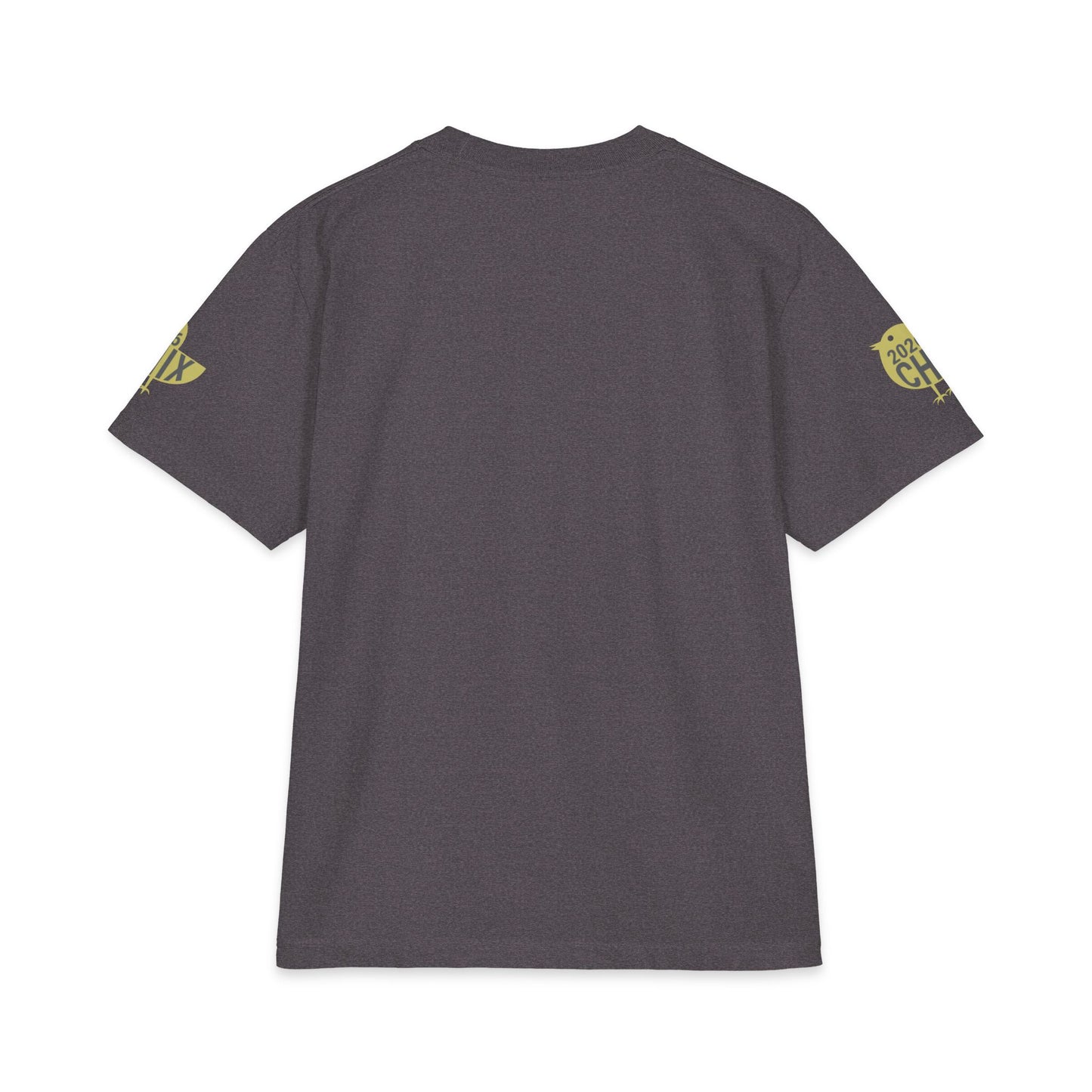 2026 Chix T-Shirt — light logo on left arm and front