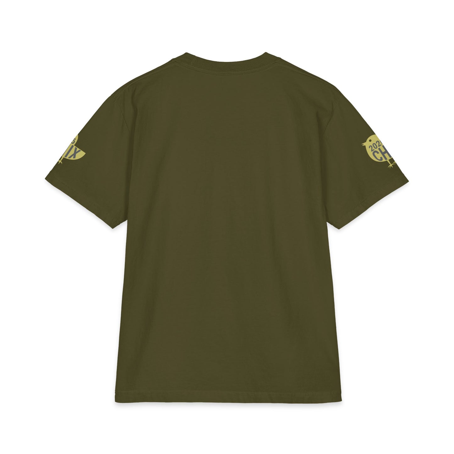 2026 Chix T-Shirt — light logo on left arm and front